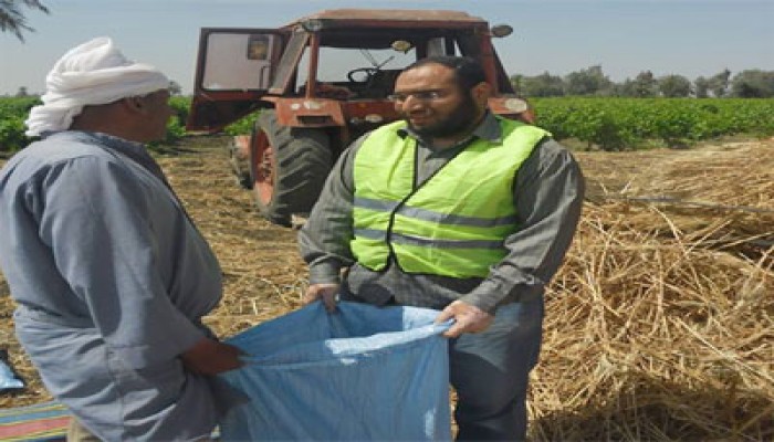 الحرية والعدالة ينظم قوافل حرفية ويشارك في موسم الحصاد بالمنيا