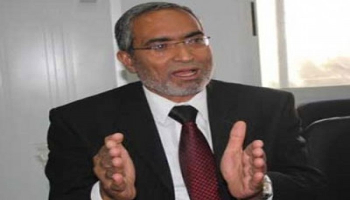 حلمي الجزار: نجاح المشروع الإسلامي في مصر انتصار للربيع العربي