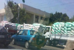 "الحرية والعدالة" يتابع توريد القمح لشون دمياط