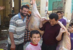 "معًا نبني مصر" تواصل فعالياتها بقرى أبو حماد بالشرقية