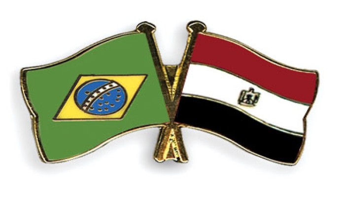 "العلاقات المصرية البرازيلية".. تقرير على مكتب الرئيس