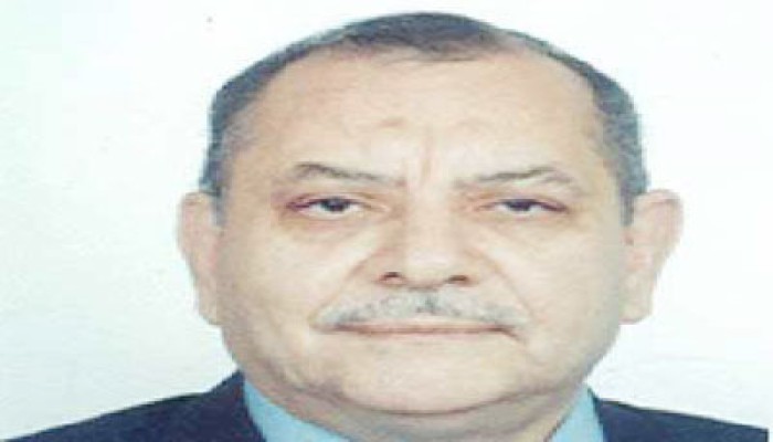 رئيس الدستورية: لا يحق للرئيس أو القضاة التدخل في أعمال "الشورى"