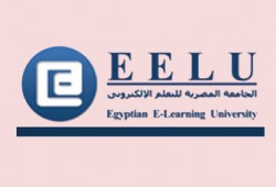 "مؤتمر تقييم الجامعات" يوصي بالتوسع في التعلم الإلكتروني