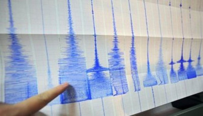 الجيش الباكستاني يبدأ عملية إنقاذ بالمناطق المتضررة من الزلزال
