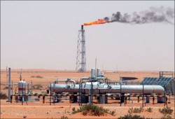 "دعم بتروسيلتيك" في مصر وبلغاريا والجزائر بـ500 مليون دولار
