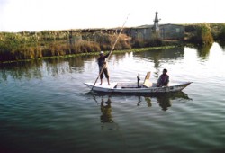 بدء تطهير بحيرة المنزلة بعد تدخل نواب الحرية والعدالة بدمياط