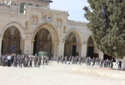 مفتي القدس يدين تدنيس المغتصبين للأقصى واعتقال المصلين