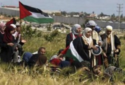 الاحتلال الصهيوني يستهدف مسيرة بغزة في ذكرى يوم الأرض