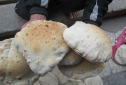 "الحرية والعدالة" يسهم في نجاح مشروع الخبز بمدينة ملوي بالمنيا