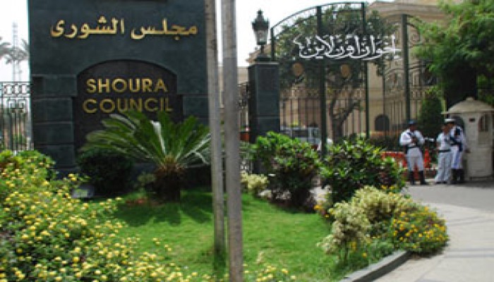 تنمية الشورى: جميع الجمعيات ستوفق أوضاعها مع القانون الجديد