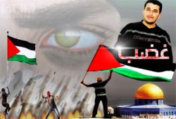 مسيرات غاضبة في غزة تنديدًا باستشهاد الأسير جرادات