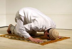 د. محمد كمال الدين يكتب: واسجد واقترب