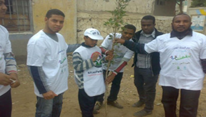تشجير وتجميل "دارو" بأسوان ضمن "معًا نبني مصر"