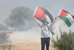 متظاهرون فلسطينيون يرفعون علم فلسطين داخل مغتصبة صهيونية