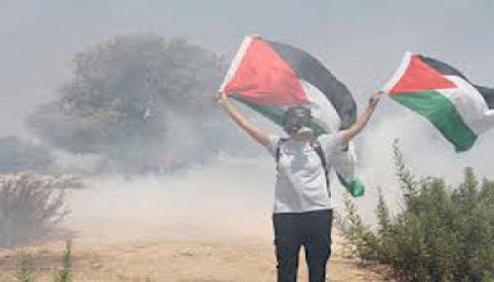متظاهرون فلسطينيون يرفعون علم فلسطين داخل مغتصبة صهيونية