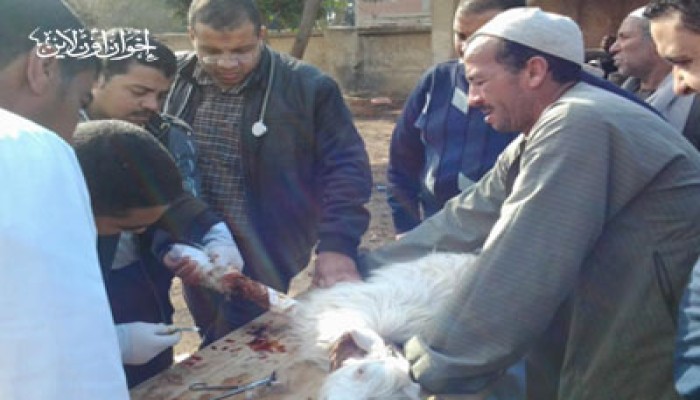 معرض خيري وقافلة بيطرية لـ"الحرية والعدالة" بالمنوفية