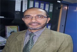 من فقه السيرة النبوية.. إسقاطات على الواقع المصري