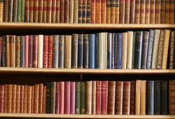 أكثر من 6 كتب نصيب المواطن التركي خلال 2012م