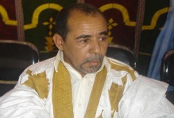 الحكومة والمعارضة في موريتانيا تجمع على رفض العدوان على مالي