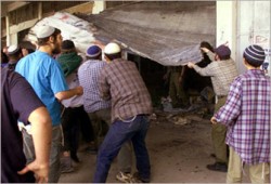 مغتصبون صهاينة يهاجمون قرى نابلس ويحطمون ممتلكات الفلسطينيين