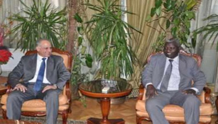 مسعد: اهتمام مصري بإفريقيا ودعم السودان في مجال التعليم العالي