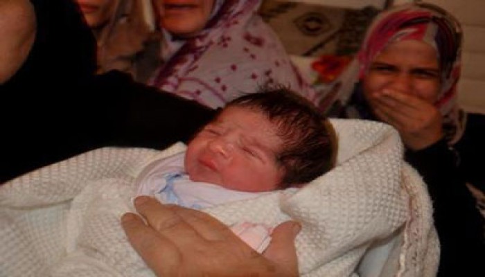 1197 مولودًا في غزة خلال أيام العدوان الصهيوني