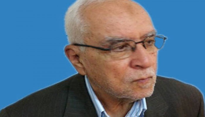 ماذا يريد البرادعي؟