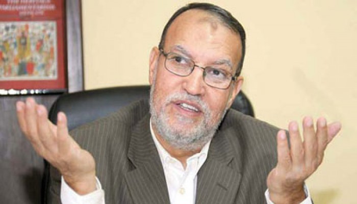 عصام العريان: نائب الرئيس يؤيد دستورًا يطيح به من موقعه