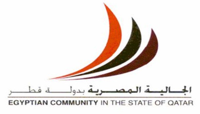 الجالية المصرية في قطر تؤيد الإعلان الدستوري