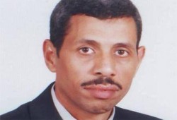 تساقط الأوراق