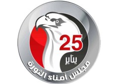 أمناء الثورة: قرارات الرئيس تحبط مؤامرات الثورة المضادة