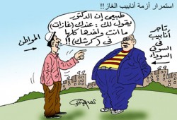 كوبونات البوتاجاز.. الدعم يصل لمستحقيه