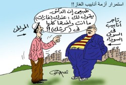 كوبونات البوتاجاز.. الدعم يصل لمستحقيه