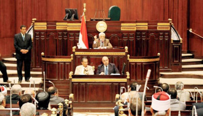 محيي الدين: إضافة "مجمع اللغة العربية" للهيئات المستقلة بالدستور