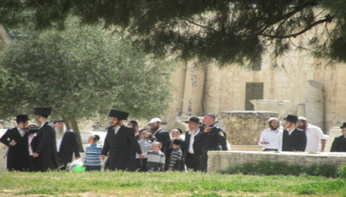 مغتصبون صهاينة يدنسون المسجد الأقصى صباحًا