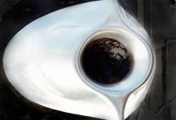 تقبيل الحجر الأسود من مناسك الحج