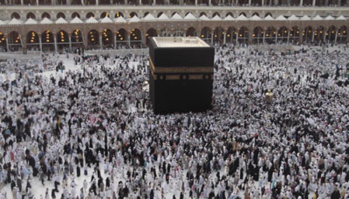 794.308 ألف حاج يصلون للأراضي المقدسة