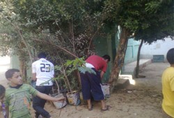 "ازرع شجرة" حملة للحرية والعدالة بالمنوفية