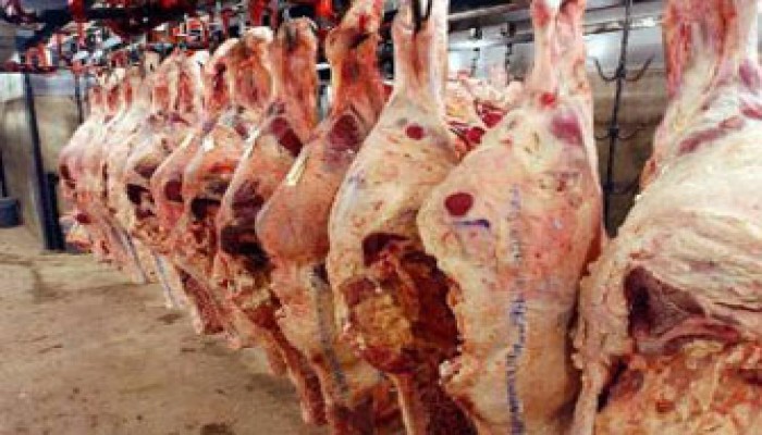 الحرية والعدالة بالجيزة ينظم سوقا خيريا للحوم بالبدرشين