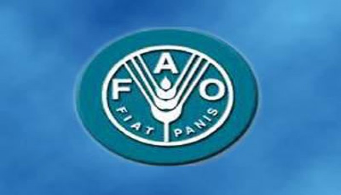 منحة من "الفاو" للأطفال الأكثر فقرًا في الصعيد والمجتمعات البدوية