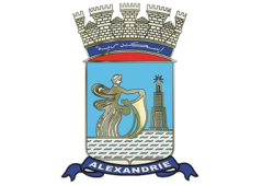 اليوم.. تدشين أكاديمية "طوُّر حياتك" بالإسكندرية