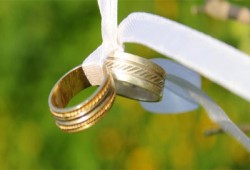 3.8 % ارتفاعًا في عقود الزواج خلال عام 2011م