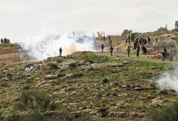 الاحتلال الصهيوني يقمع المسيرة الأسبوعية المناهضة للجدار بالضفة المحتلة