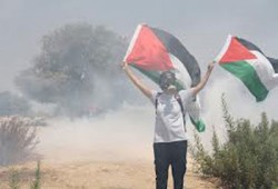 إصابة عشرات الفلسطينيين والأجانب في مسيرة بلعين الأسبوعية