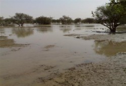 غرق 11 شخصًا وتدمير ألف فدان من جرَّاء السيول والأمطار بدارفور
