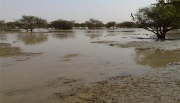 غرق 11 شخصًا وتدمير ألف فدان من جرَّاء السيول والأمطار بدارفور