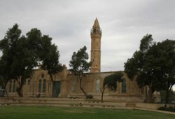 المقاومة الفلسطينية تحذر الاحتلال من إقامة "مهرجان النبيذ" بمسجد