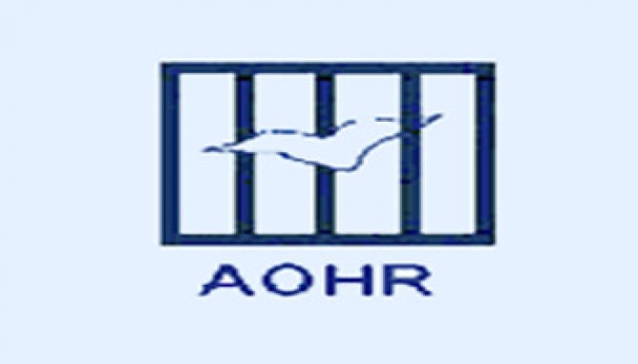 المنظمة العربية لحقوق الإنسان: تصريحات الرئاسة بشأن التظاهر السلمي إيجابية