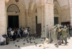 الإثنين.. وقفة أمام اليونسكو ضد تقسيم الصهاينة لـ"الأقصى"