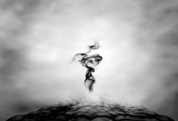 أسماء صقر تكتب: قفزات تربوية في العشر الأواخر